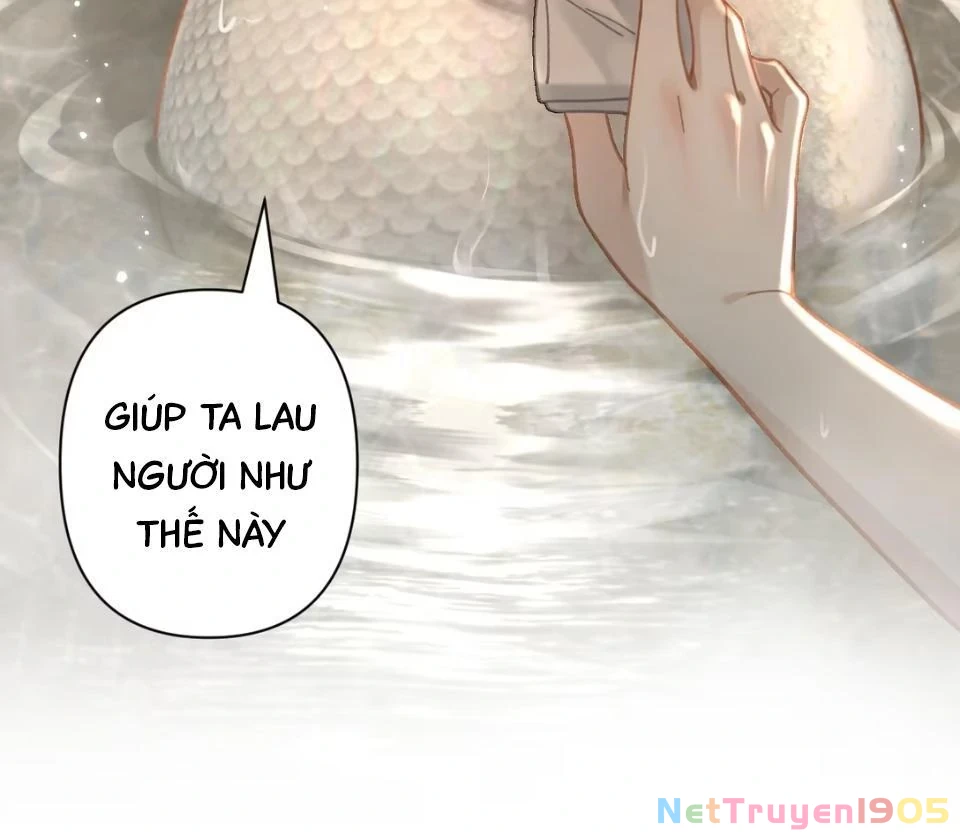 Đông Hải Tìm Mỹ Nhân Chapter 53 - Trang 37