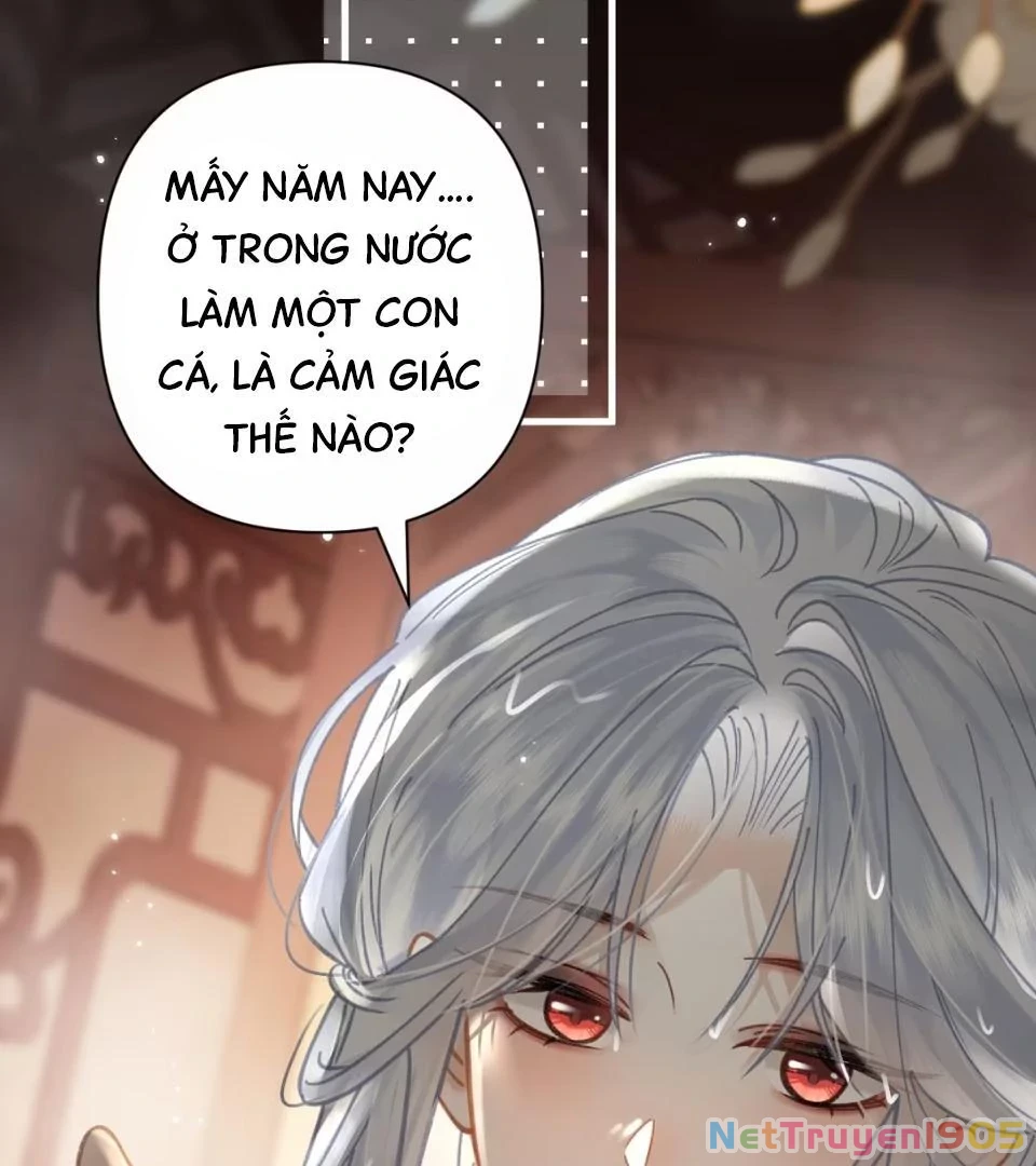 Đông Hải Tìm Mỹ Nhân Chapter 53 - Trang 41