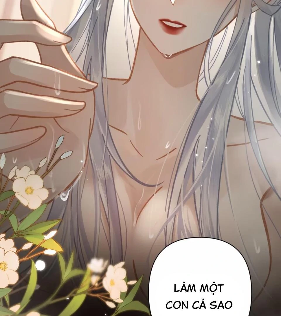 Đông Hải Tìm Mỹ Nhân Chapter 53 - Trang 42