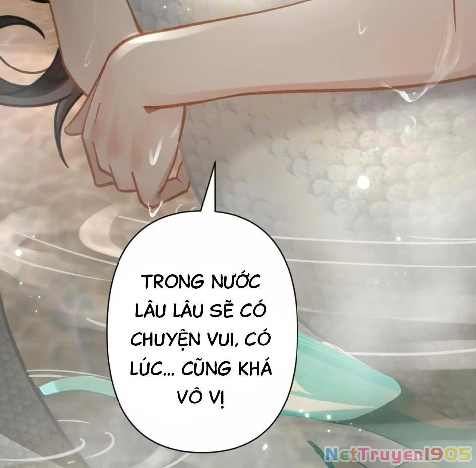 Đông Hải Tìm Mỹ Nhân Chapter 53 - Trang 45