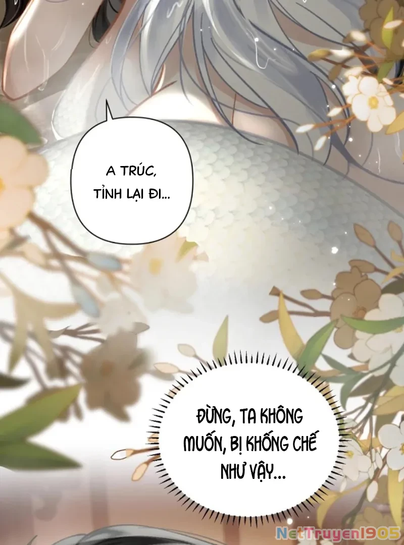 Đông Hải Tìm Mỹ Nhân Chapter 54 - Trang 11