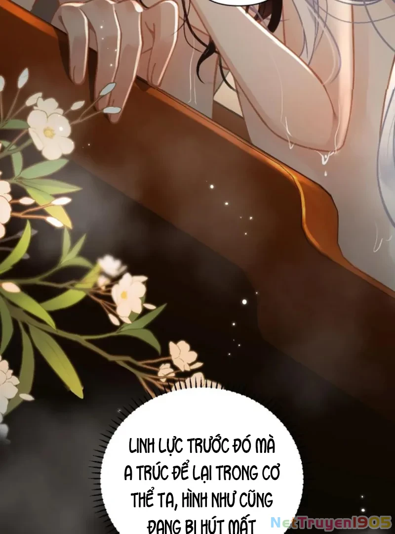 Đông Hải Tìm Mỹ Nhân Chapter 54 - Trang 15