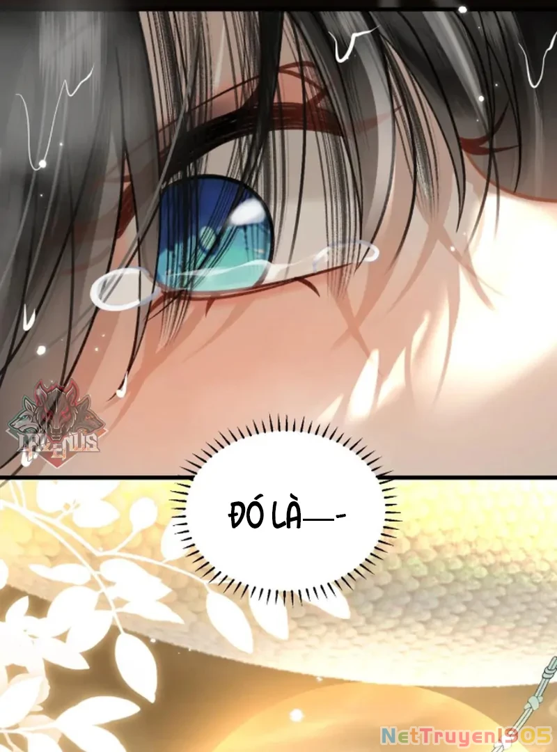 Đông Hải Tìm Mỹ Nhân Chapter 54 - Trang 17