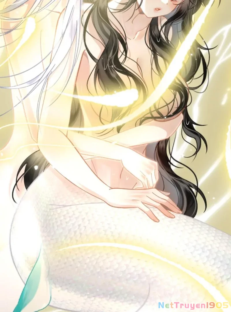 Đông Hải Tìm Mỹ Nhân Chapter 54 - Trang 23