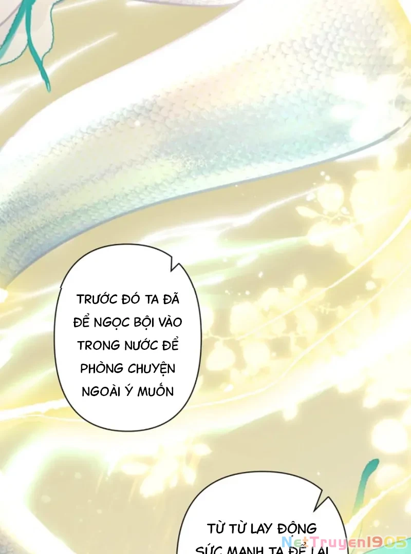Đông Hải Tìm Mỹ Nhân Chapter 54 - Trang 24