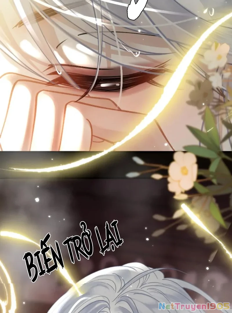 Đông Hải Tìm Mỹ Nhân Chapter 54 - Trang 29