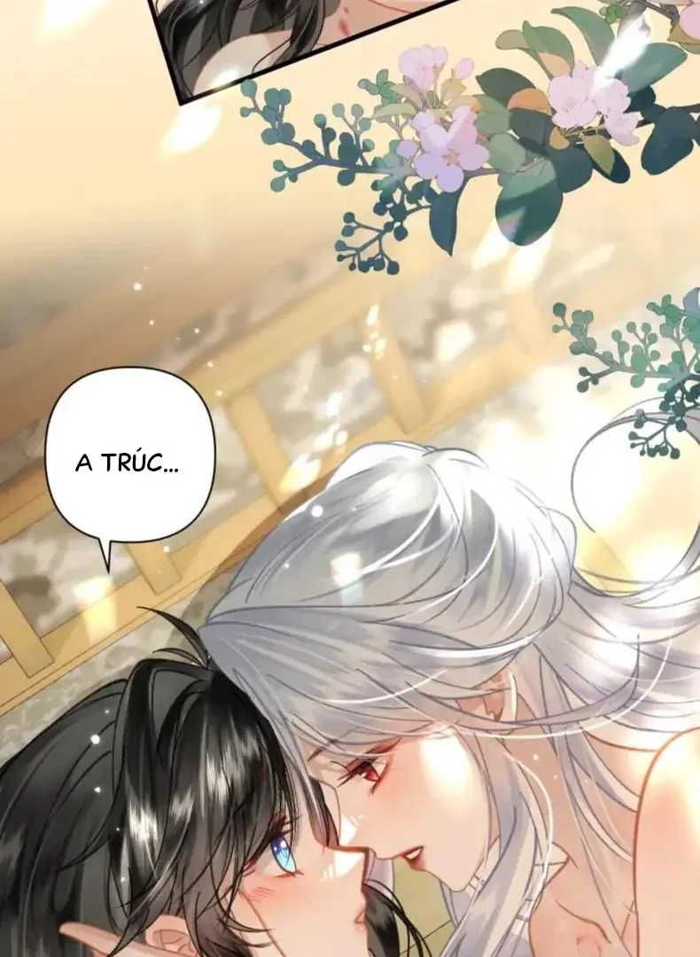 Đông Hải Tìm Mỹ Nhân Chapter 56 - Trang 12