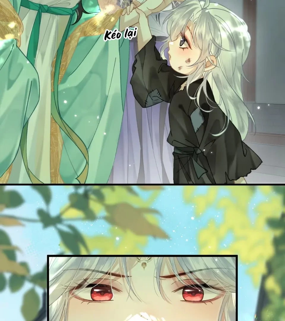 Đông Hải Tìm Mỹ Nhân Chapter 58 - Trang 10