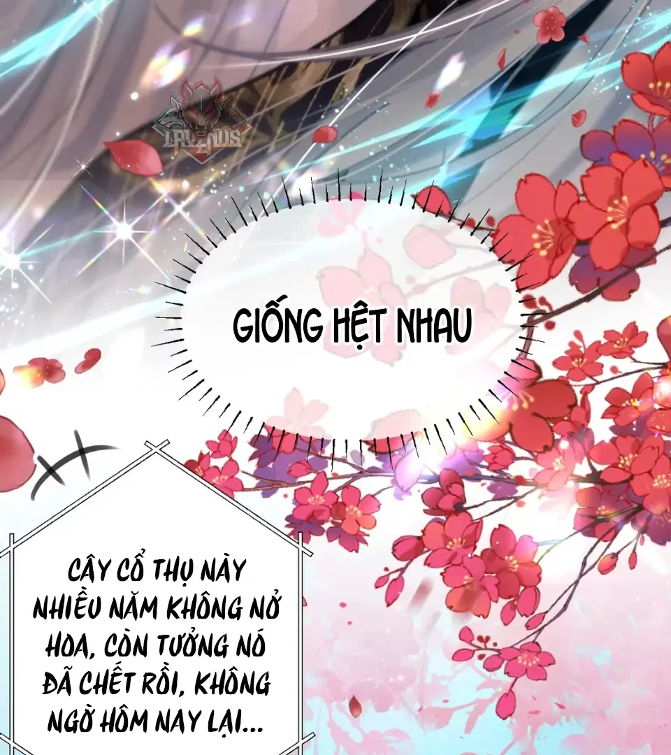 Đông Hải Tìm Mỹ Nhân Chapter 58 - Trang 44