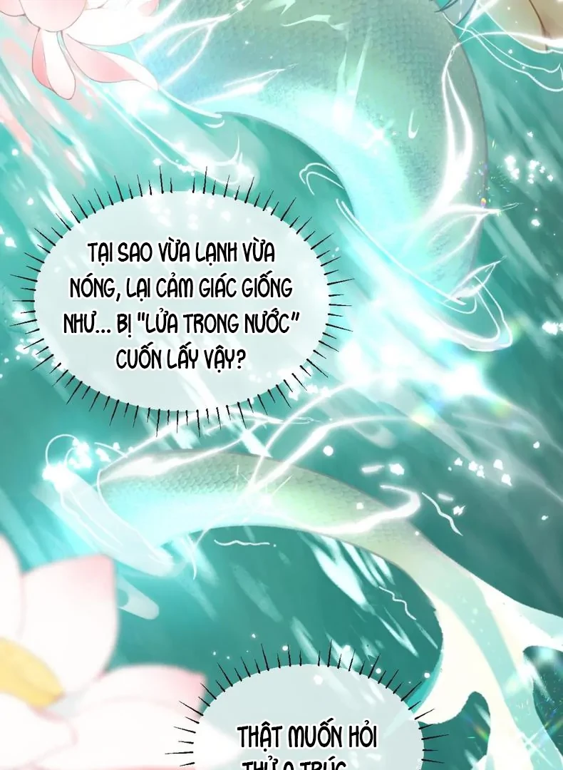 Đông Hải Tìm Mỹ Nhân Chapter 59 - Trang 37
