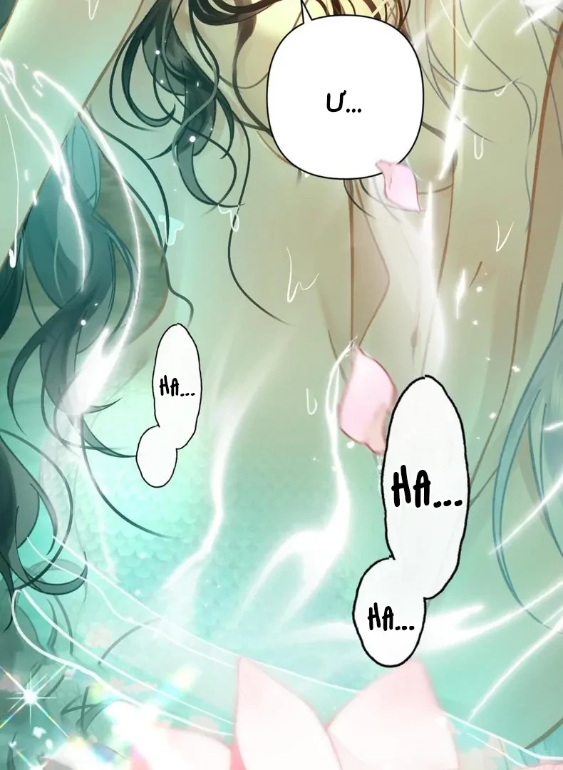 Đông Hải Tìm Mỹ Nhân Chapter 59 - Trang 45
