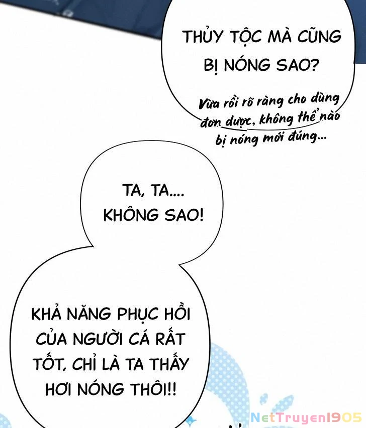 Đông Hải Tìm Mỹ Nhân Chapter 6 - Trang 30