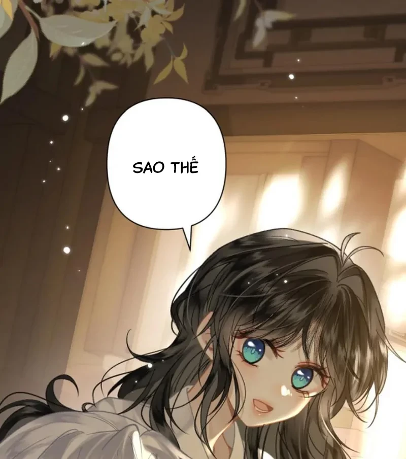 Đông Hải Tìm Mỹ Nhân Chapter 62 - Trang 47