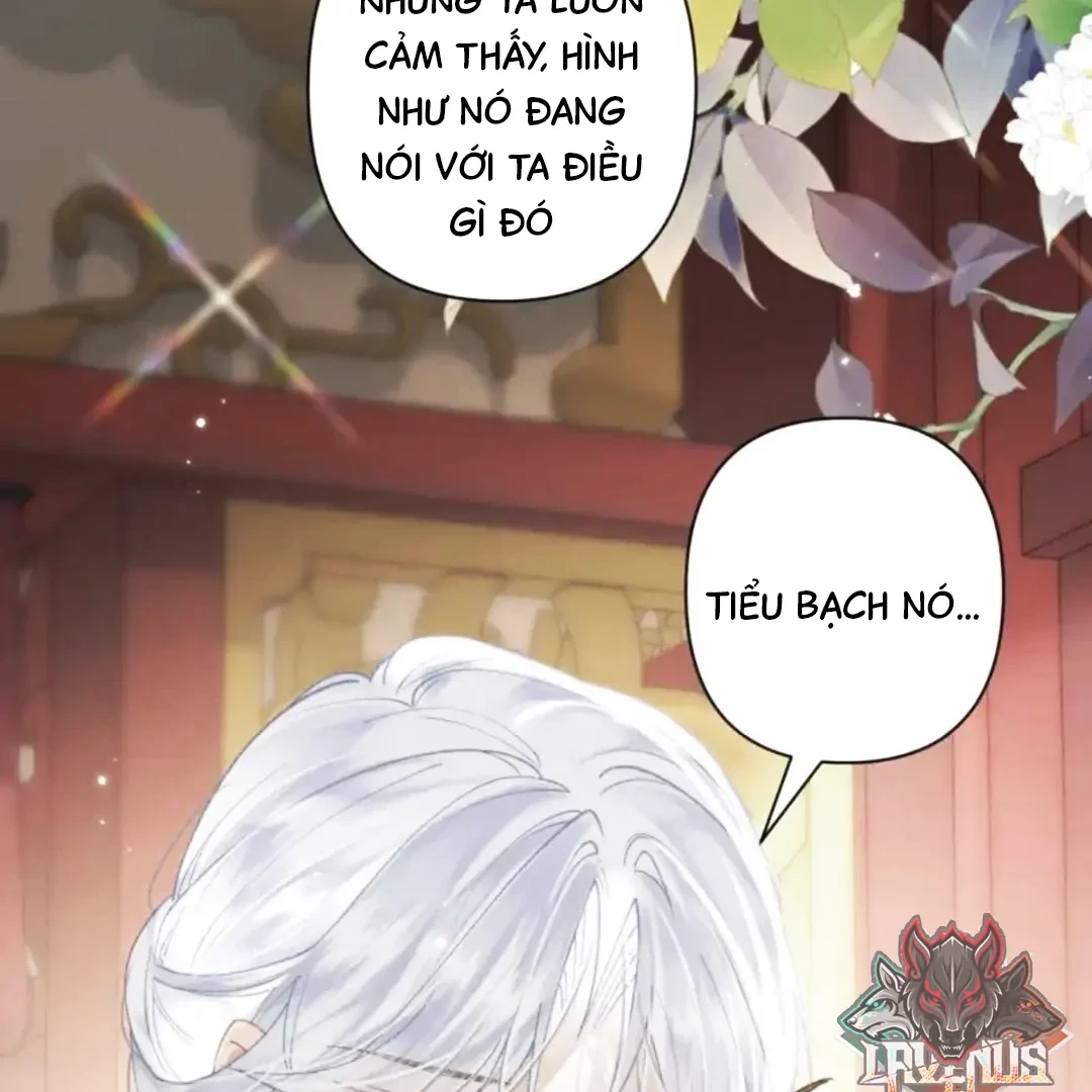 Đông Hải Tìm Mỹ Nhân Chapter 63 - Trang 49