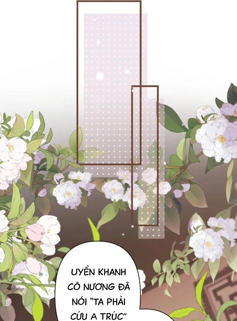 Đông Hải Tìm Mỹ Nhân Chapter 67 - Trang 27