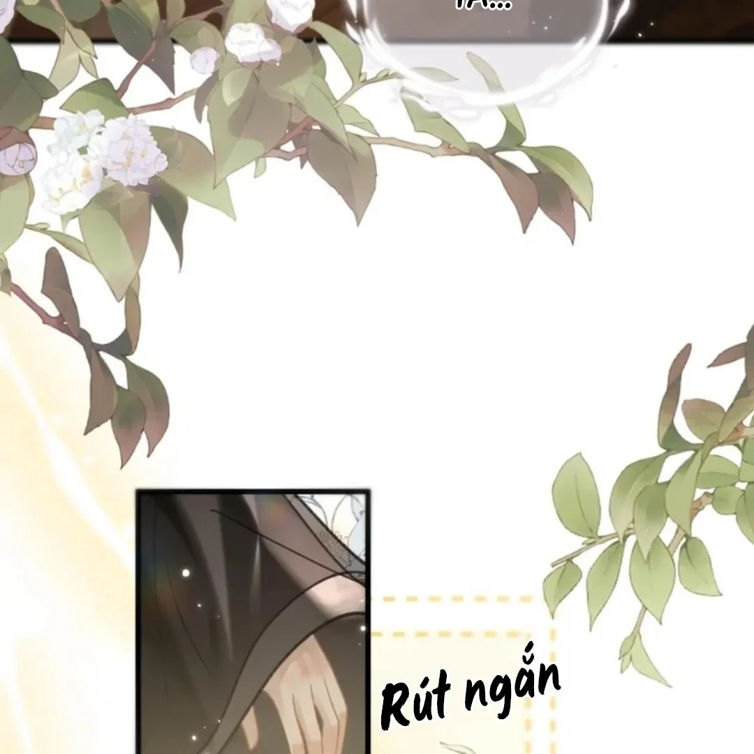 Đông Hải Tìm Mỹ Nhân Chapter 69 - Trang 17