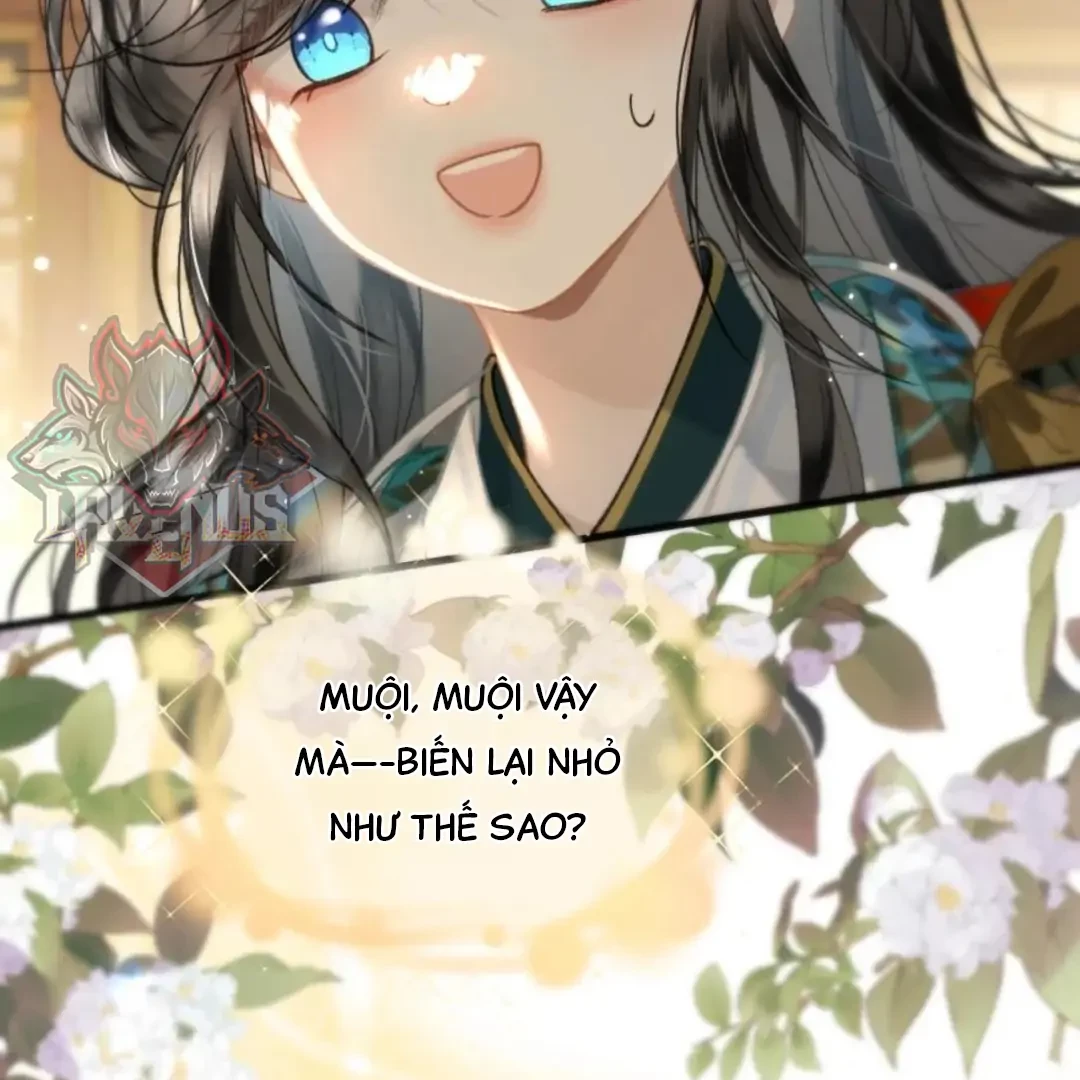 Đông Hải Tìm Mỹ Nhân Chapter 69 - Trang 20