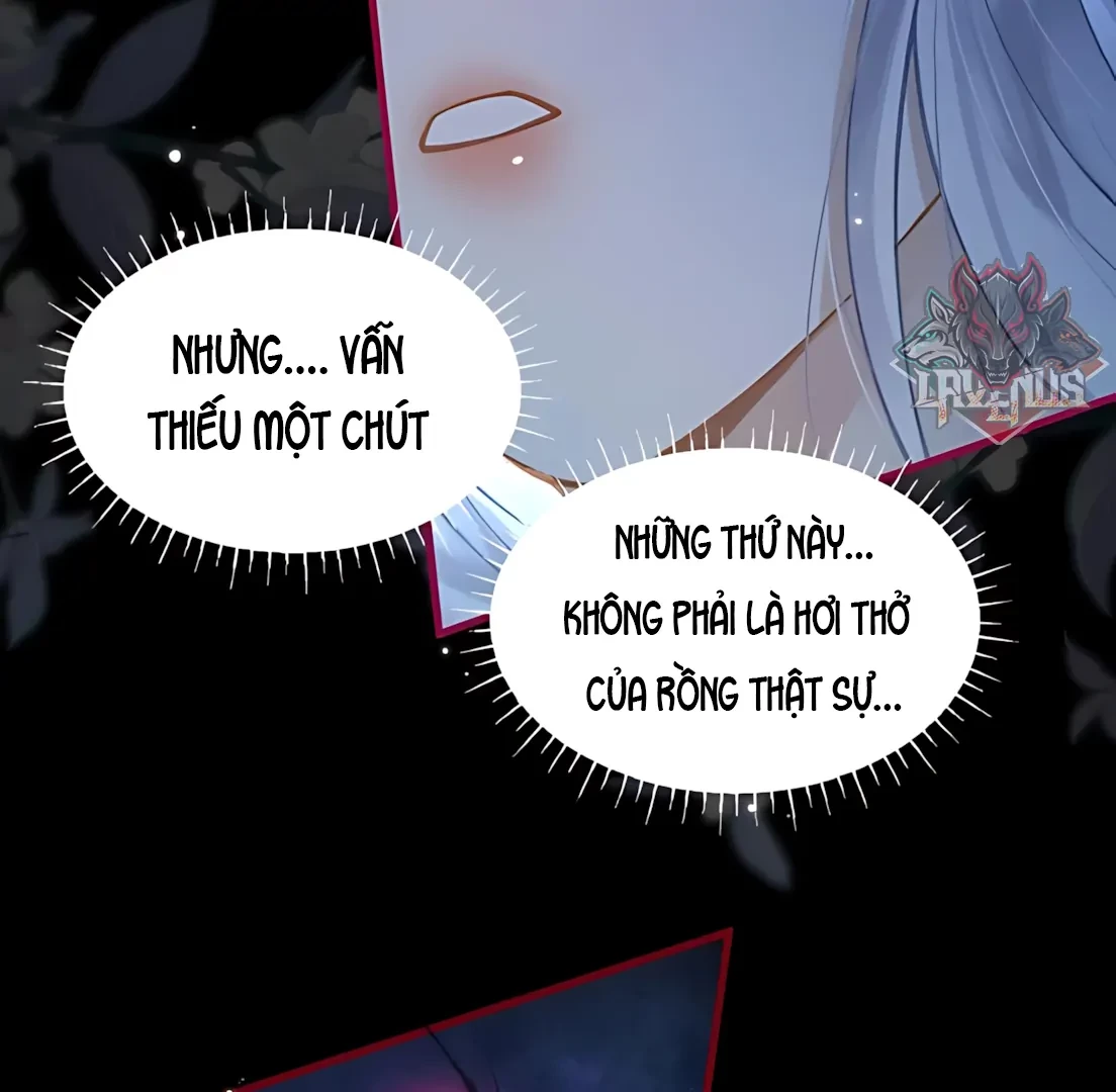 Đông Hải Tìm Mỹ Nhân Chapter 70 - Trang 5