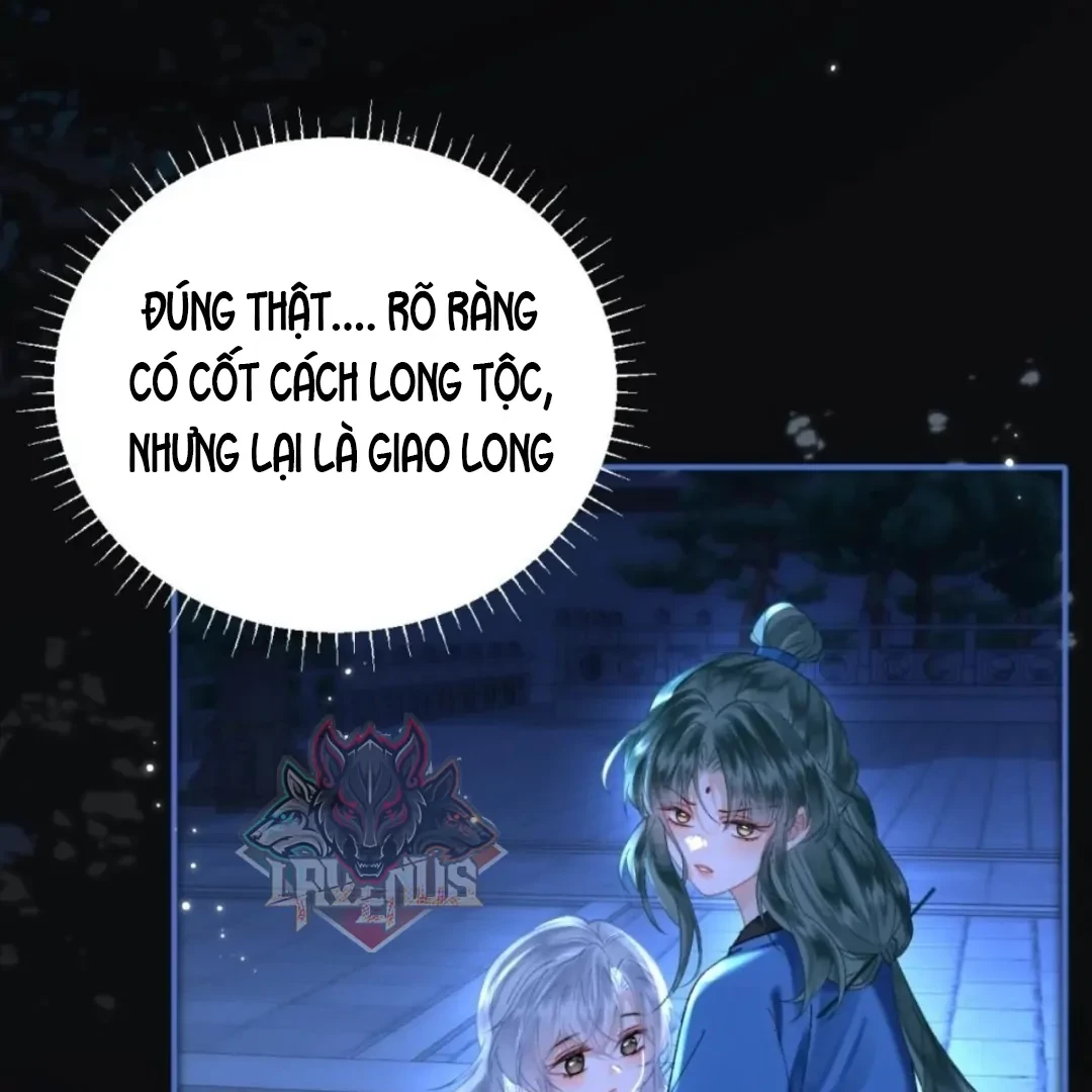 Đông Hải Tìm Mỹ Nhân Chapter 71 - Trang 37