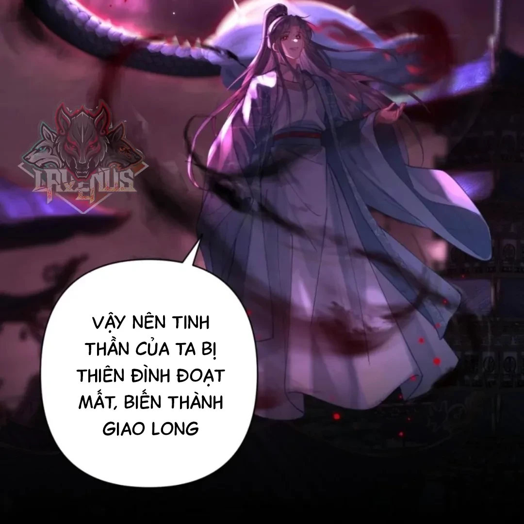 Đông Hải Tìm Mỹ Nhân Chapter 71 - Trang 41