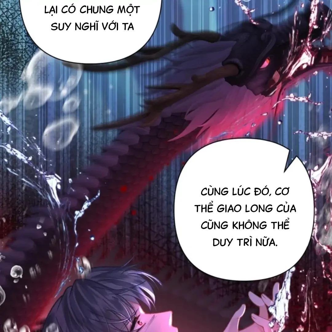 Đông Hải Tìm Mỹ Nhân Chapter 71 - Trang 46