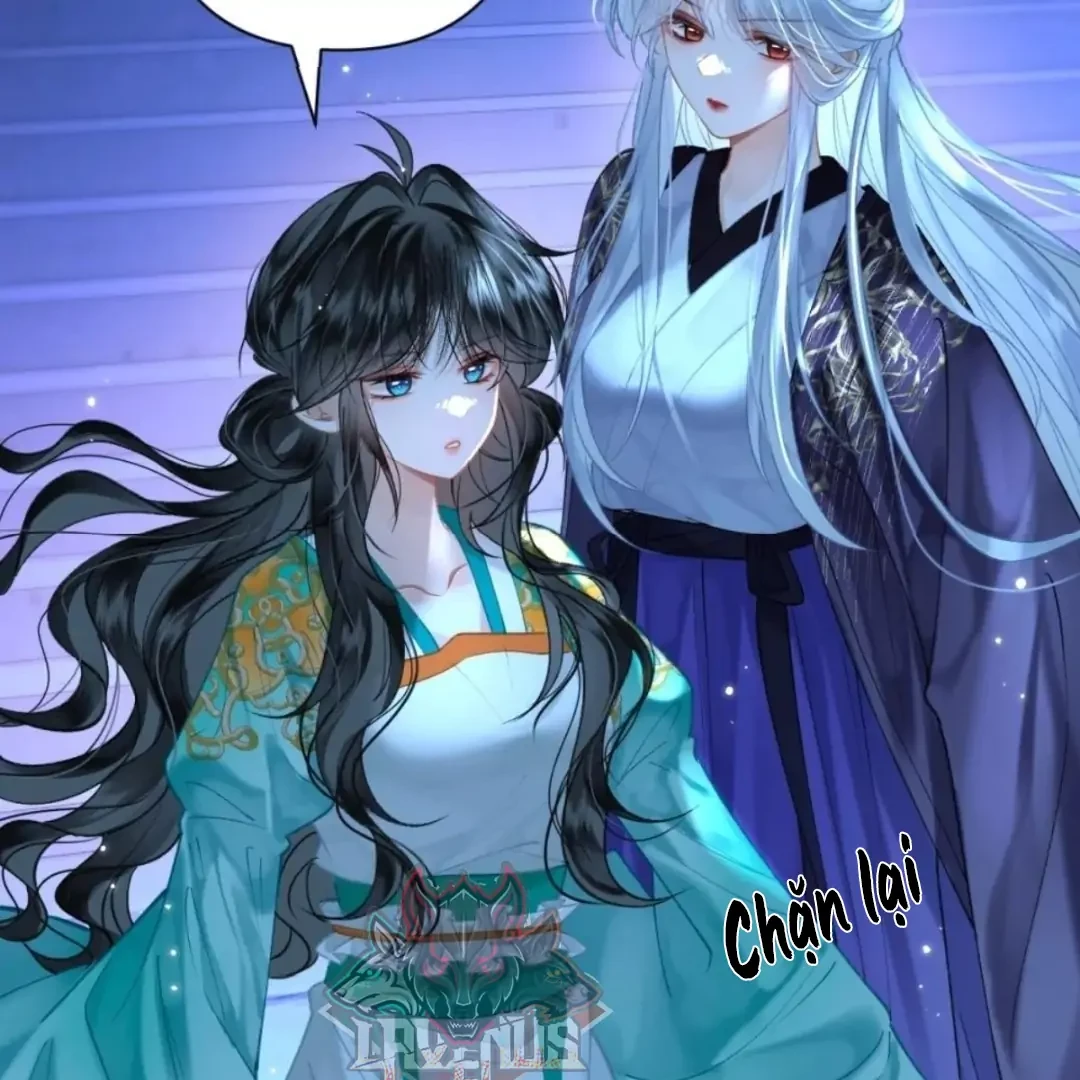 Đông Hải Tìm Mỹ Nhân Chapter 72 - Trang 4