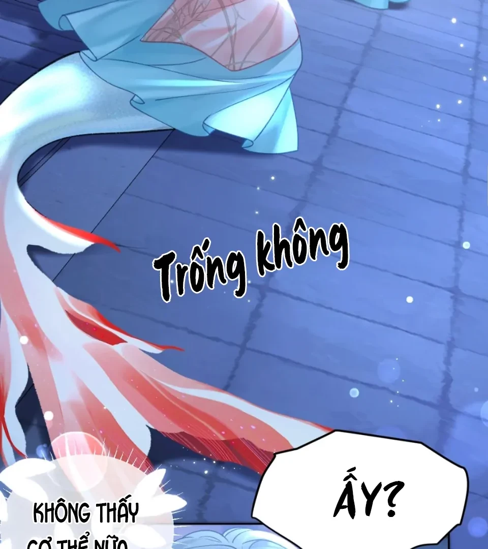Đông Hải Tìm Mỹ Nhân Chapter 74 - Trang 22