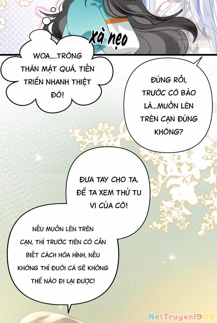 Đông Hải Tìm Mỹ Nhân Chapter 9 - Trang 9