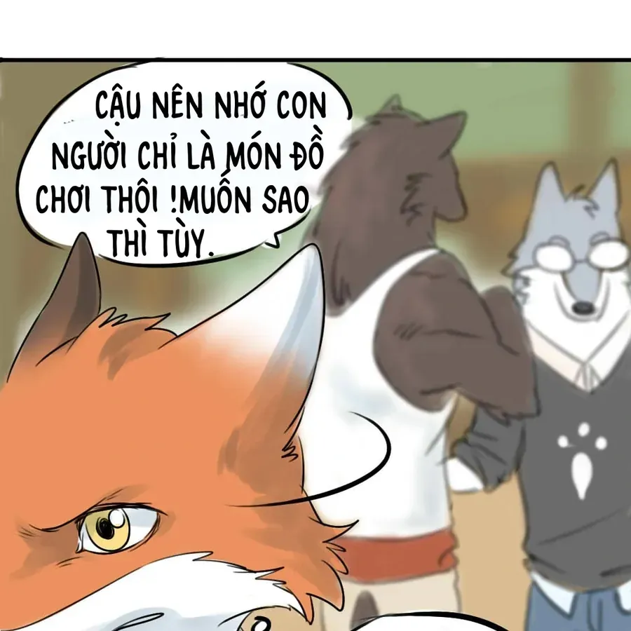 Động Vật Đầu Tiên Chapter 2 - Trang 12