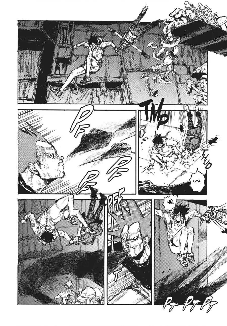 Dorohedoro Chapter 136 - Trang 17
