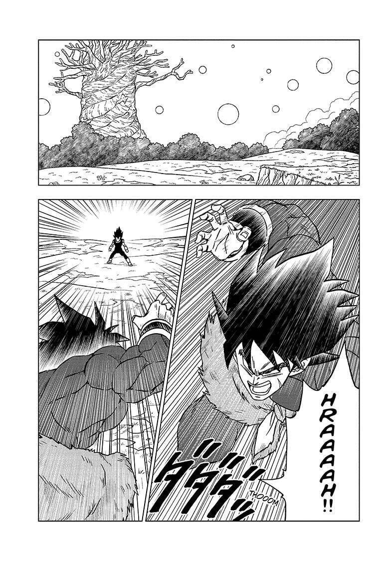 Dragon Ball Super Chapter 101 - Trang 17