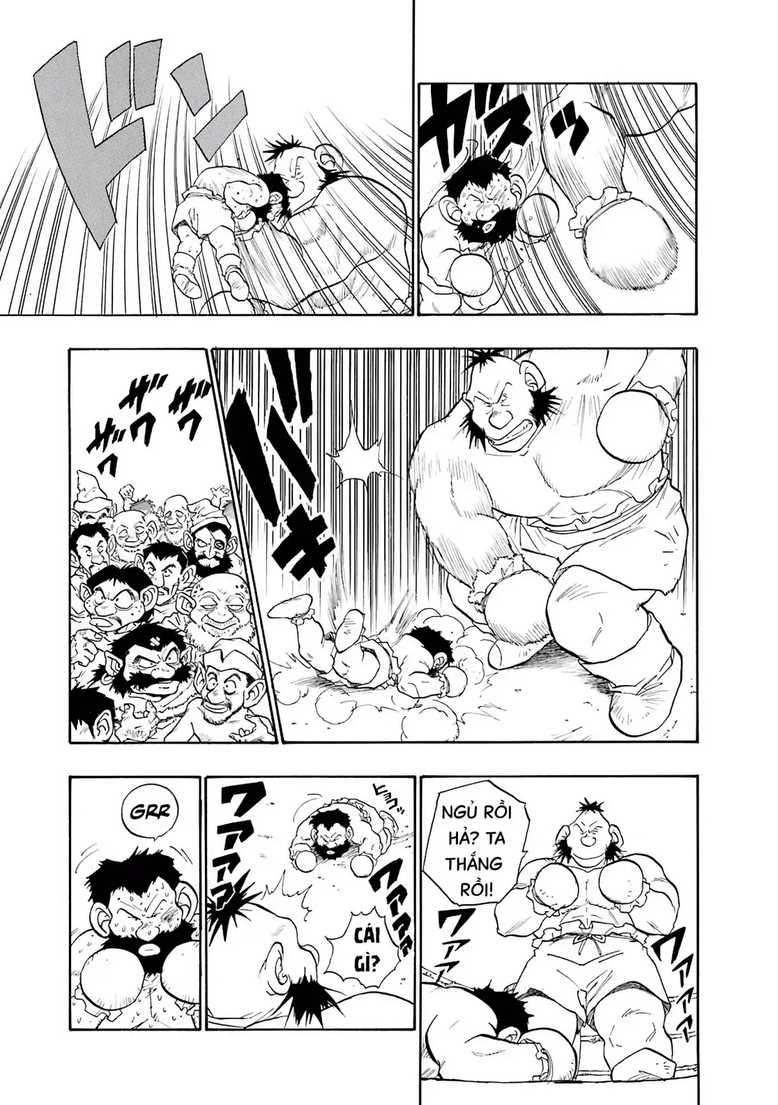 Dragon Quest Emblem Of Roto Chapter 12 - Trang 12