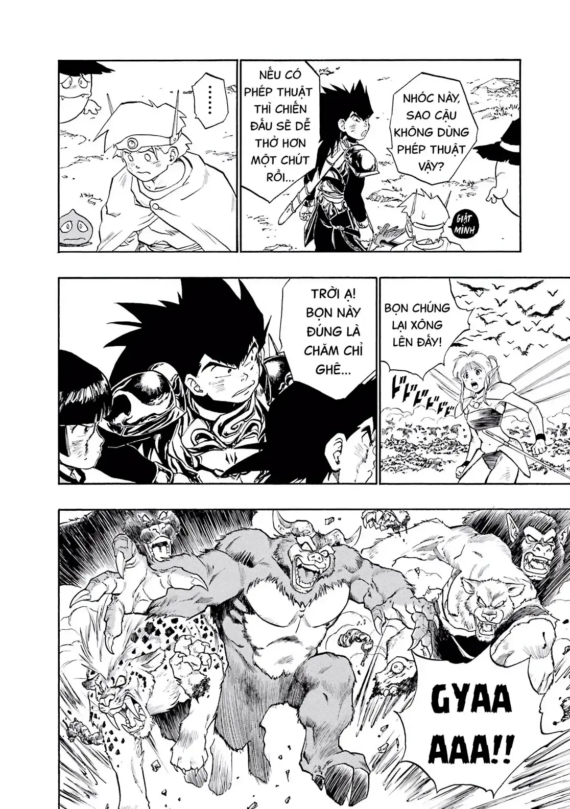 Dragon Quest Emblem Of Roto Chapter 29 - Trang 10