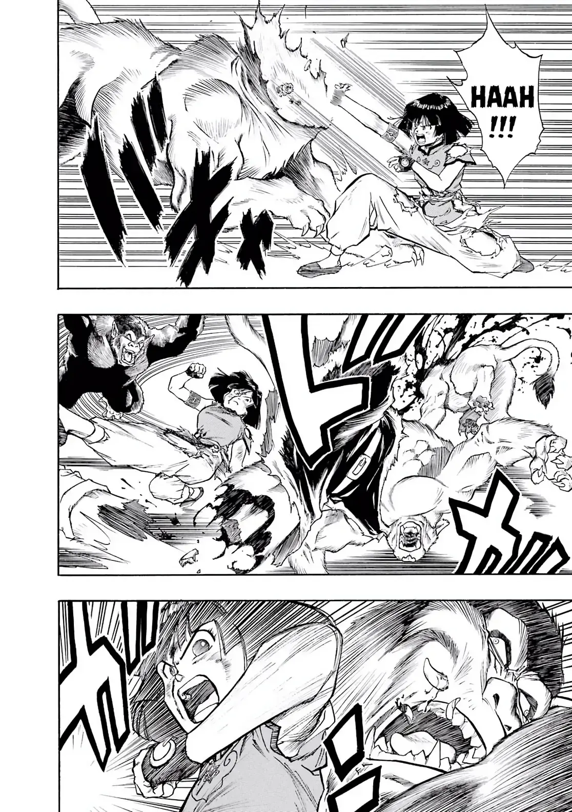 Dragon Quest Emblem Of Roto Chapter 29 - Trang 12