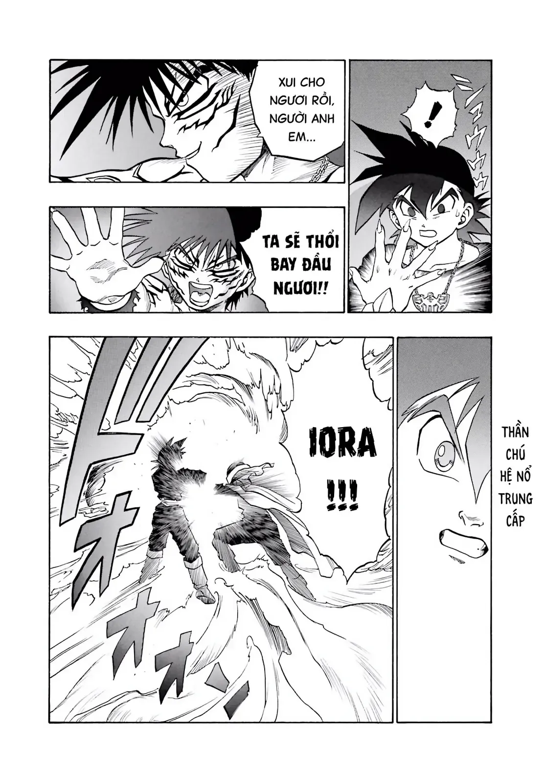 Dragon Quest Emblem Of Roto Chapter 48 - Trang 10