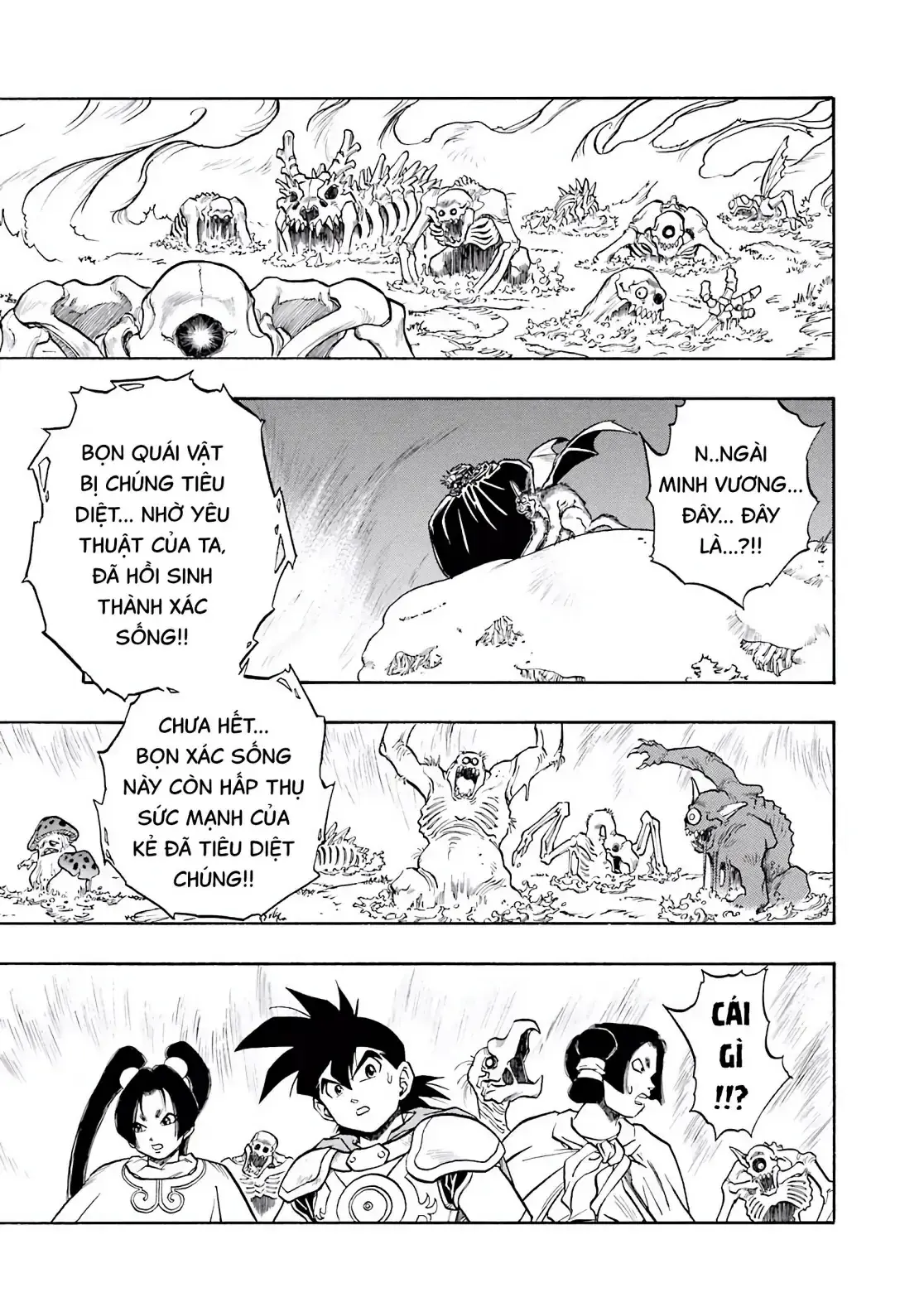 Dragon Quest Emblem Of Roto Chapter 52 - Trang 45