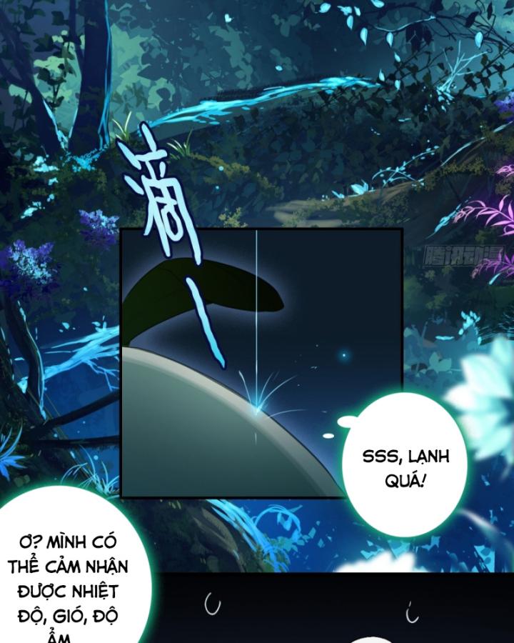 đừng Coi Thường Một Củ Cải Lớn! Chapter 1 - Trang 35