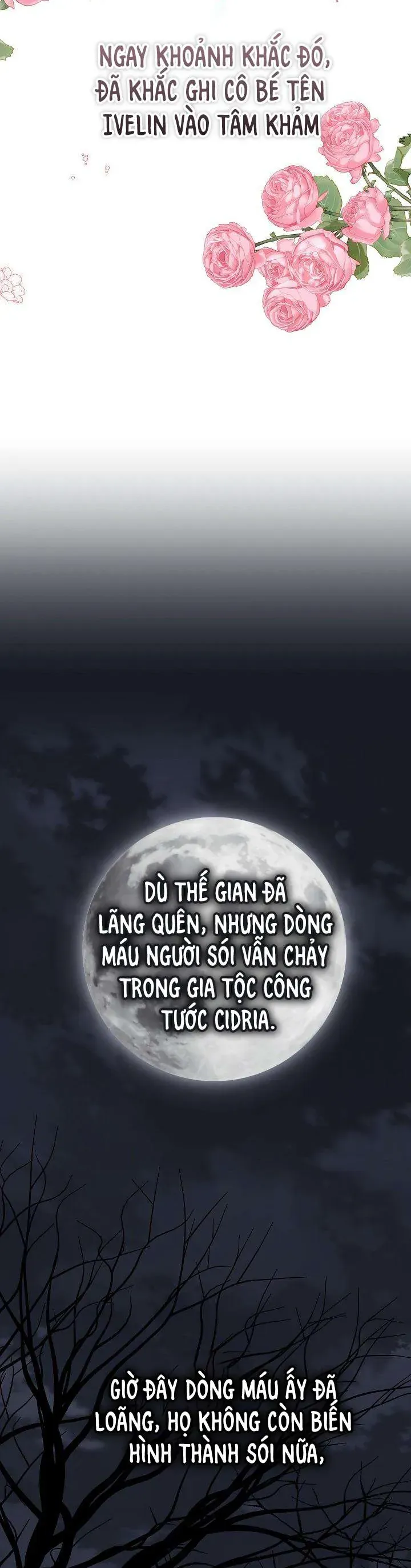 Đừng Đưa Bánh Quy Cho Con Sói Đang Đói Chapter 5 - Trang 25