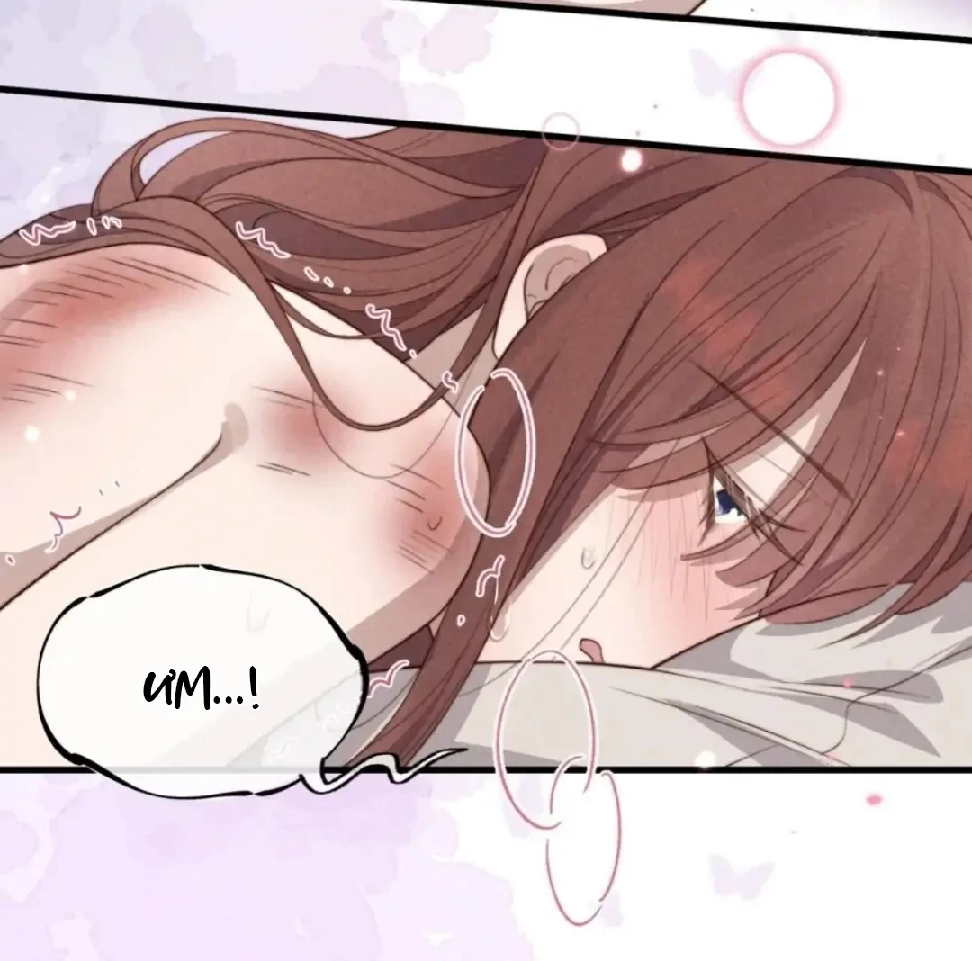 Đúng Lúc Ta Đến, Xuân Cũng Vừa Sang Chapter 11 - Trang 9