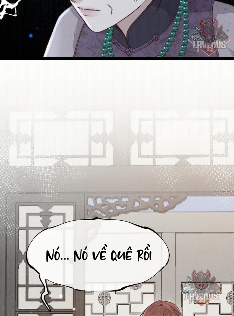 Đúng Lúc Ta Đến, Xuân Cũng Vừa Sang Chapter 3 - Trang 11