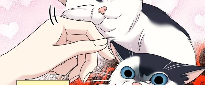 Đừng Ngây Thơ Nữa, Hãy Phục Tùng Chapter 87 - Trang 46