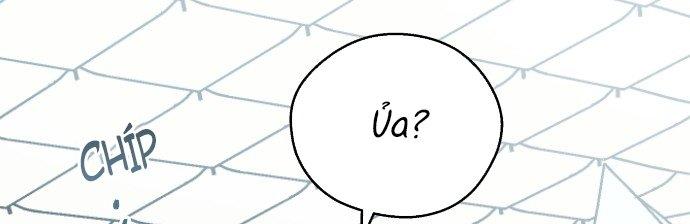 Đừng Ngây Thơ Nữa, Hãy Phục Tùng Chapter 9 - Trang 17
