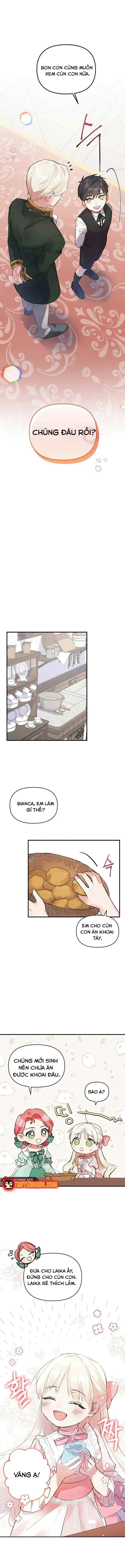 Đừng Thuần Hóa Cô Nàng Đanh Đá Chapter 1 - Trang 10