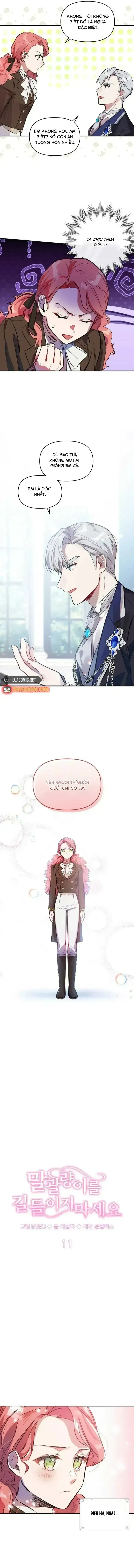 Đừng Thuần Hóa Cô Nàng Đanh Đá Chapter 11.6 - Trang 4