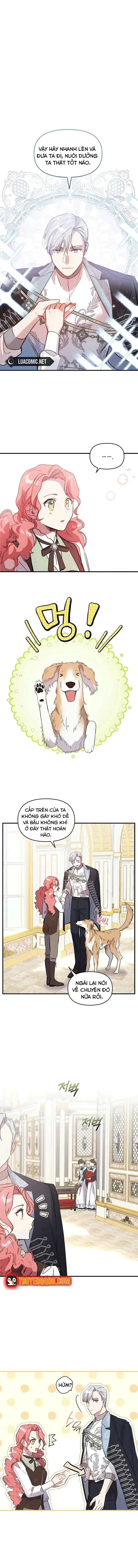 Đừng Thuần Hóa Cô Nàng Đanh Đá Chapter 13 - Trang 4