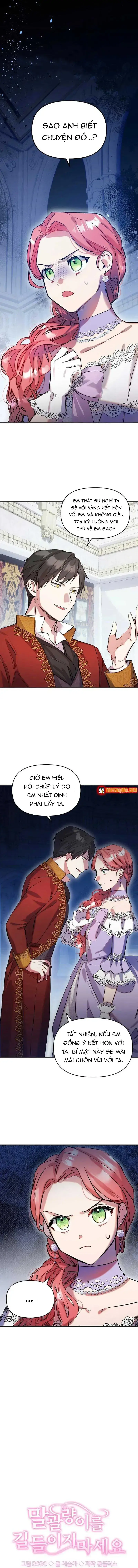 Đừng Thuần Hóa Cô Nàng Đanh Đá Chapter 6 - Trang 4