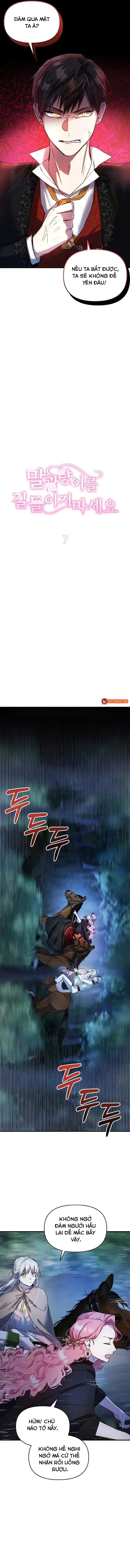 Đừng Thuần Hóa Cô Nàng Đanh Đá Chapter 7 - Trang 7