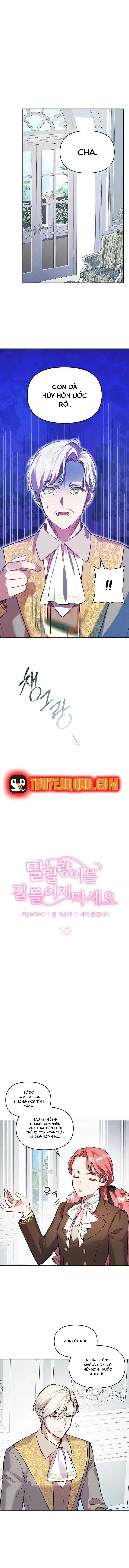 Đừng Thuần Hóa Cô Nàng Đanh Đá Chapter 9 - Trang 5