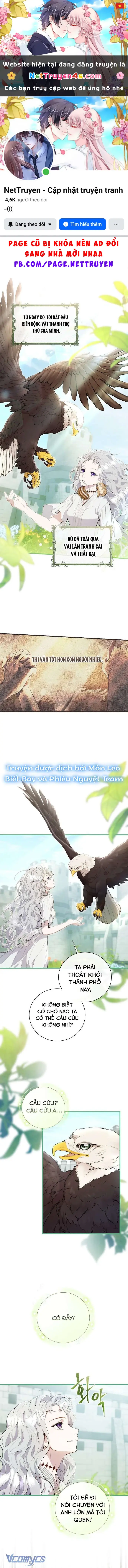 Đừng Tìm Kiếm Ác Nữ Đã Hồi Sinh Chapter 3 - Trang 2