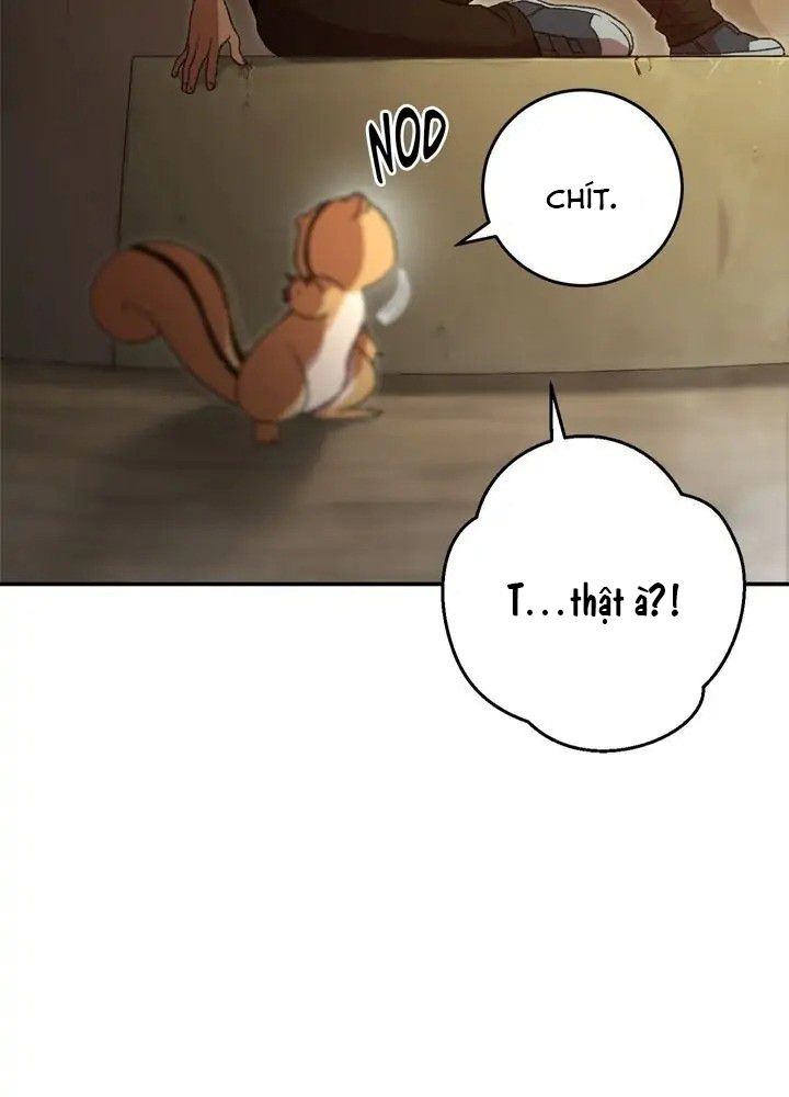 Dungeon Reset Chapter 11 - Trang 20